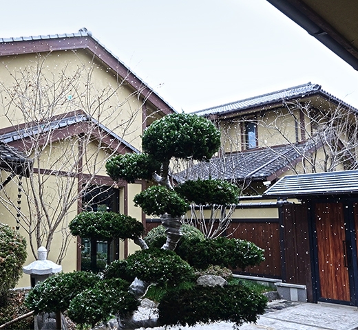 548m² Liaoning, Townhouse